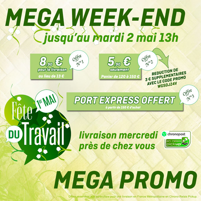 Promo-Mega-WE.jpg